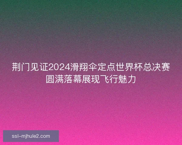 荆门见证2024滑翔伞定点世界杯总决赛圆满落幕展现飞行魅力